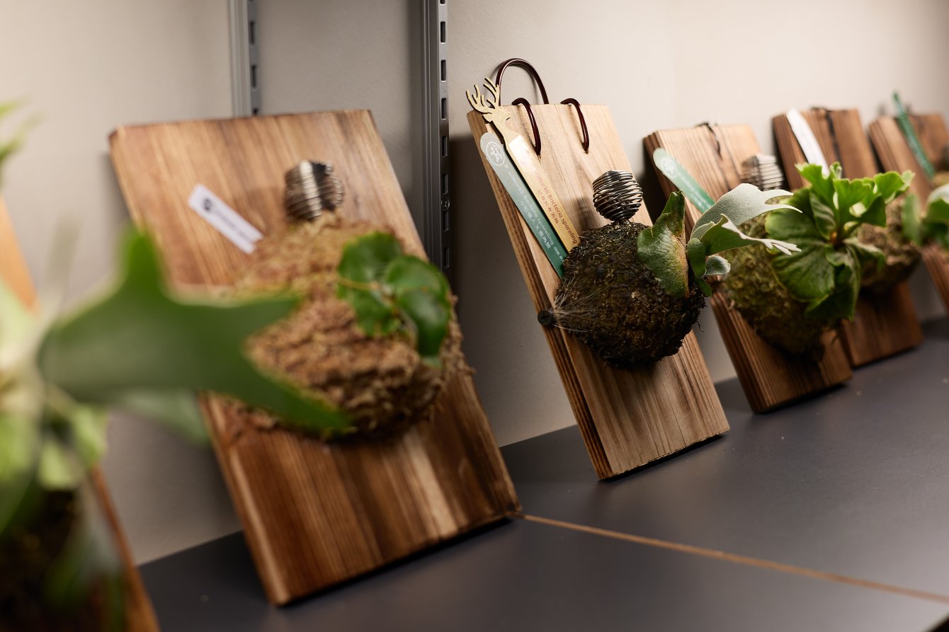 Q9/家を建てて、暮らしが変わったことはありますか